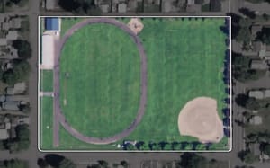 Person Field