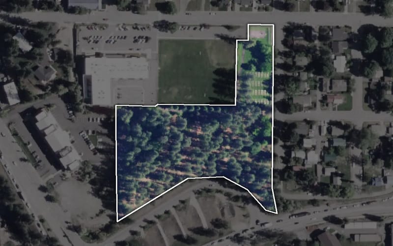 Aerial view of Winton Park